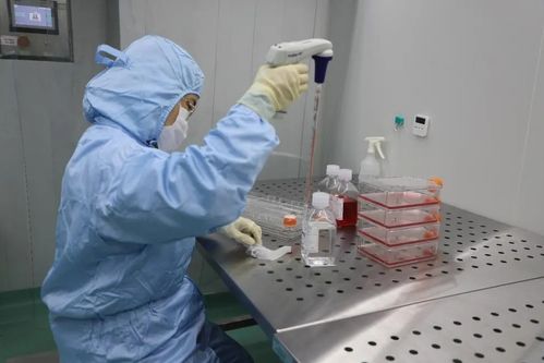 深圳康泰生物新冠滅活疫苗在廣西投入使用 關鍵技術解析與公眾關切解答